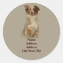 Search for herding dog stickers Australian shepherd