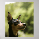 Search for back yard posters Outdoors