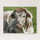 Search for longhorn puzzles Cattle