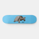 Search for the tortoise skateboards Shell