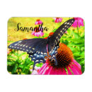 Search for swallowtail magnets Yellow