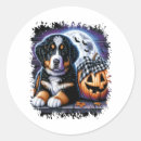 Search for bernese mountain dog lovers stickers Pug