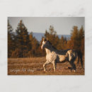 Search for wildlife art postcards Landscape