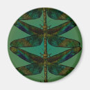 Search for flying dragon magnets Insect