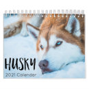 Search for huskies office supplies Puppies