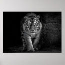Search for monochrome posters Nature