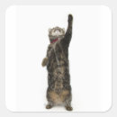 Search for leggings stickers Cute