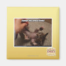 Search for attack square magnets I can has cheezburger