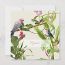 Search for birds of paradise note cards Tropical