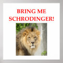 Search for schrodinger cat posters Physics