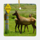 Search for elk christmas tree decorations Nature