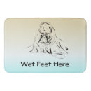 Search for cute walrus Illustration