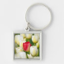 Search for natural world key rings North america