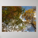 Search for looking up posters Trees