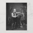 Search for performance horses postcards Performer
