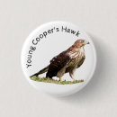 Search for young bird badges Bird of prey