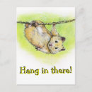 Search for rope postcards Cute