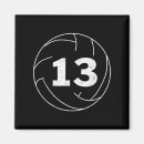 Search for thirteen magnets Number