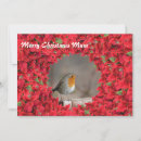 Search for robin redbreast christmas cards Bird