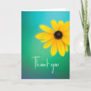 Search for annes cards Yellow