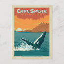 Search for newfoundland postcards Vintage