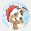 Search for jack russel terrier stickers Jrt