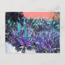Search for agave horizontal postcards Arizona