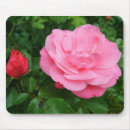 Search for horticulture mouse mats Pink