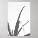 Search for plants posters Black