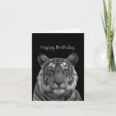 Search for white tiger cards Tigers