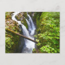 Search for duc postcards Forest
