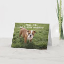 Search for get happy cards Friend