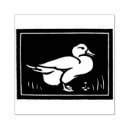 Search for duck rubber stamps Vintage