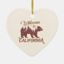 Search for tourist christmas tree decorations Nature