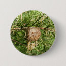 Search for mantids badges Insects