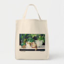 Search for calico accessories Pet