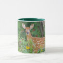 Search for white tail deer mugs Fawn