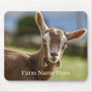 Search for herd mouse mats Livestock