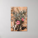 Search for arid canvas prints Blossom