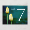 Search for double sided postcards Flower