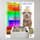 Search for geology posters Earth science