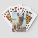 Search for frenchy playing cards Animals