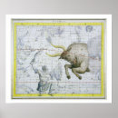 Search for taurus constellation posters Zodiac