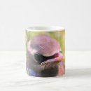 Search for baby bird mugs Animal