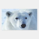 Search for polar bears rectangle stickers Cute animals