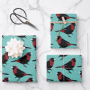 Search for songbird wrapping paper Wildlife