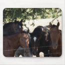 Search for buddy mouse mats Animals