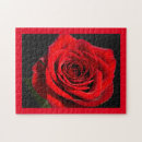 Search for beautiful women puzzles Ladies