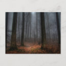 Search for tops postcards Photography
