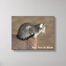Search for grey canvas prints Pets